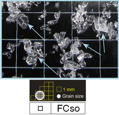 Snow Grains Photo Gallery | Solid faceted particles: [FCso2]
