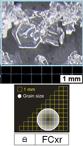 Snow Grains Photo Gallery | Rounding faceted particles: [FCxr]
