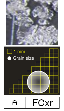 Snow Grains Photo Gallery | Rounding faceted particles: [FCxr]